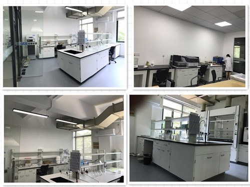 �Ϻ���ͨ���W�����