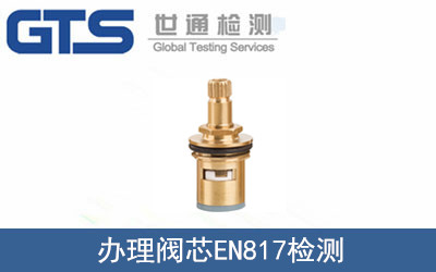 閥芯EN817檢測