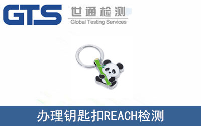 耳׿�REACH�z�y