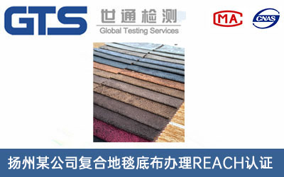 �ͺϵ�̺�ײ�REACH�J�C